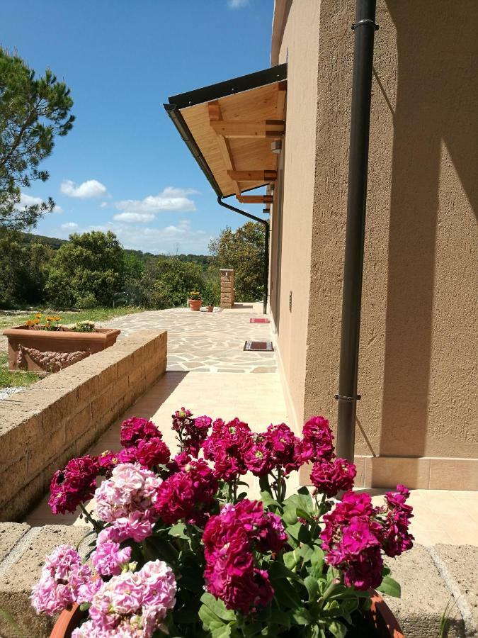 Sonnellino In Maremma Villa Massa Marittima Dış mekan fotoğraf