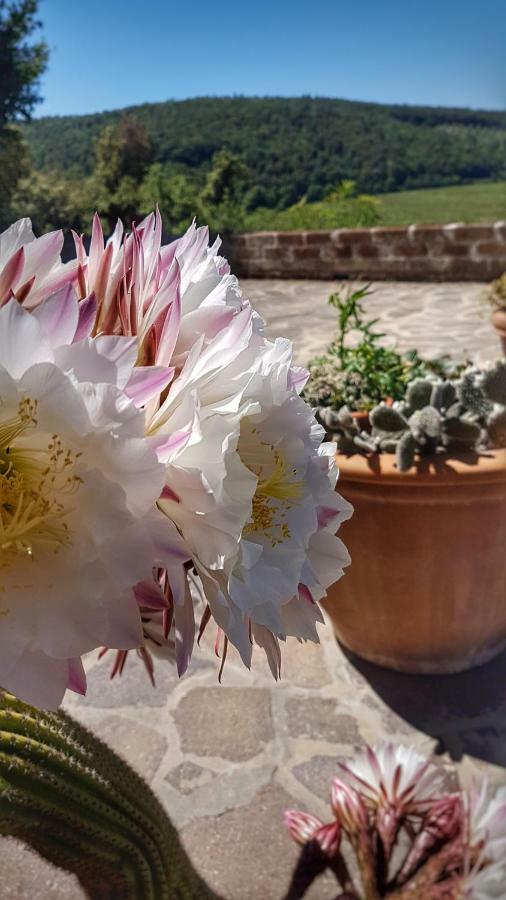 Sonnellino In Maremma Villa Massa Marittima Dış mekan fotoğraf