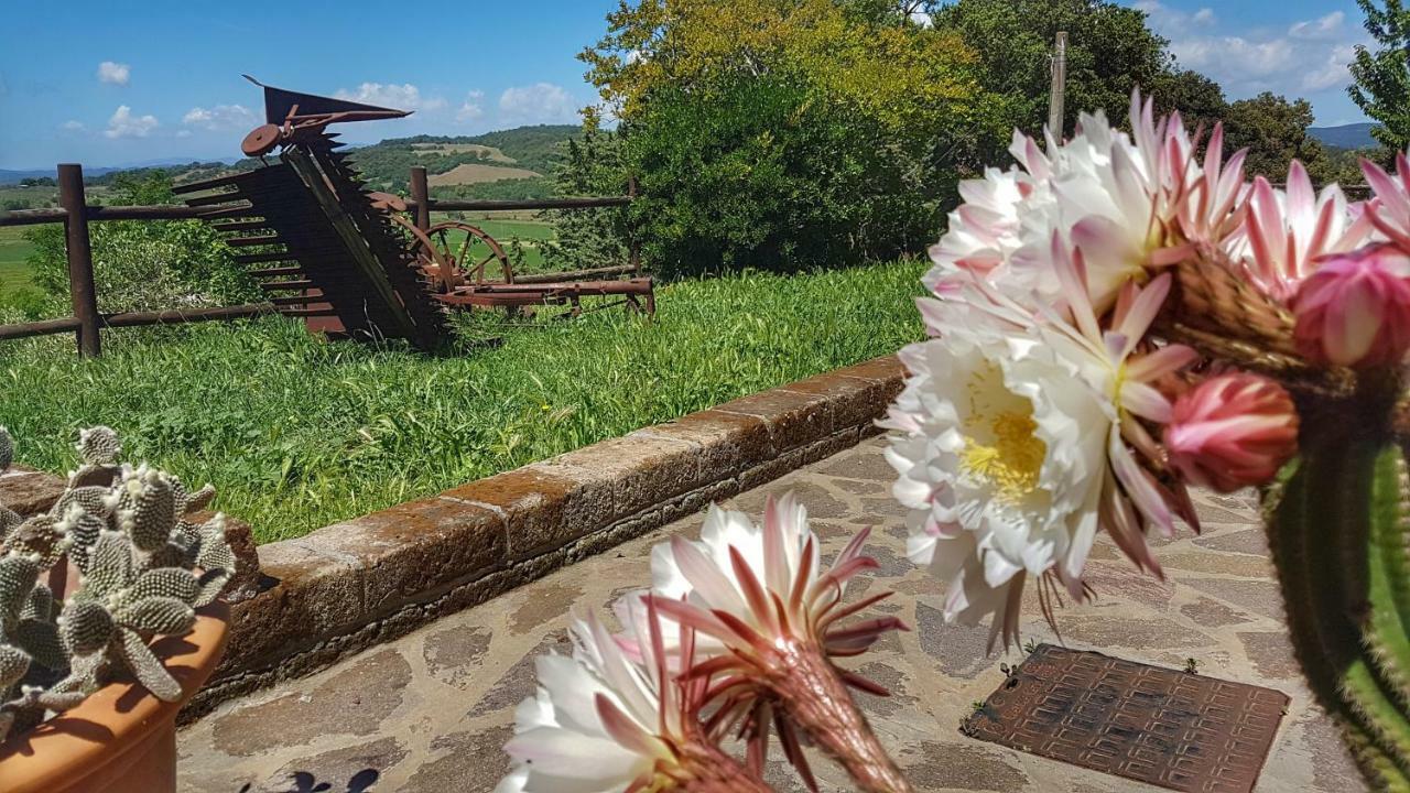 Sonnellino In Maremma Villa Massa Marittima Dış mekan fotoğraf