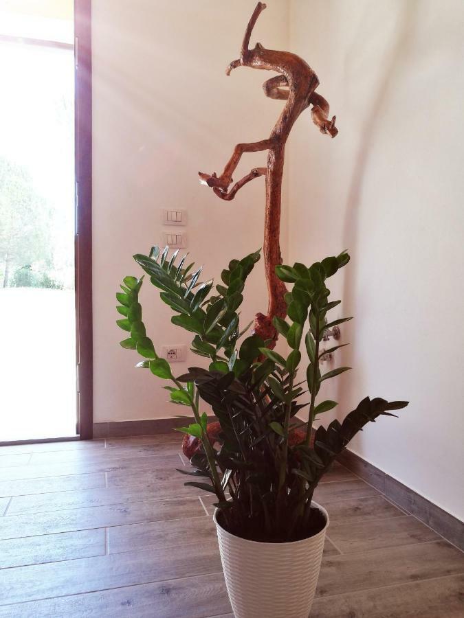 Sonnellino In Maremma Villa Massa Marittima Dış mekan fotoğraf